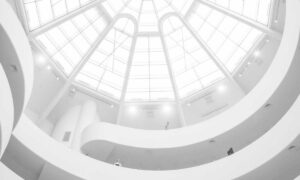 Competitive Optimization