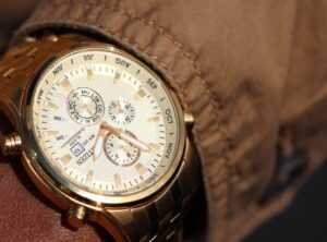 selina's gold watch online free