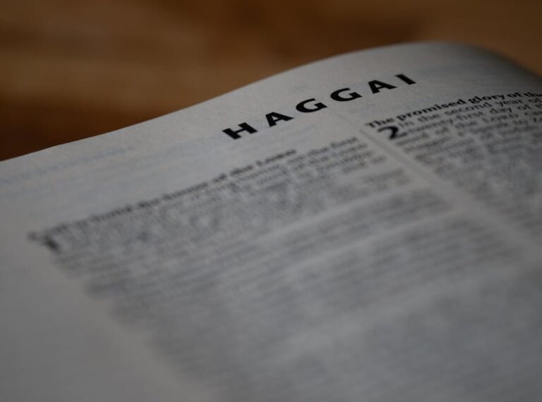 When Dorgenven New Version Released