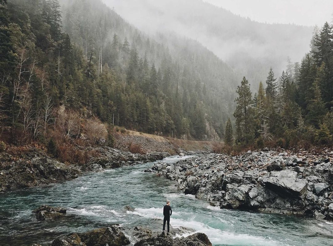 Finding Your Vibe: Popular Variations of the Shaved Pixie