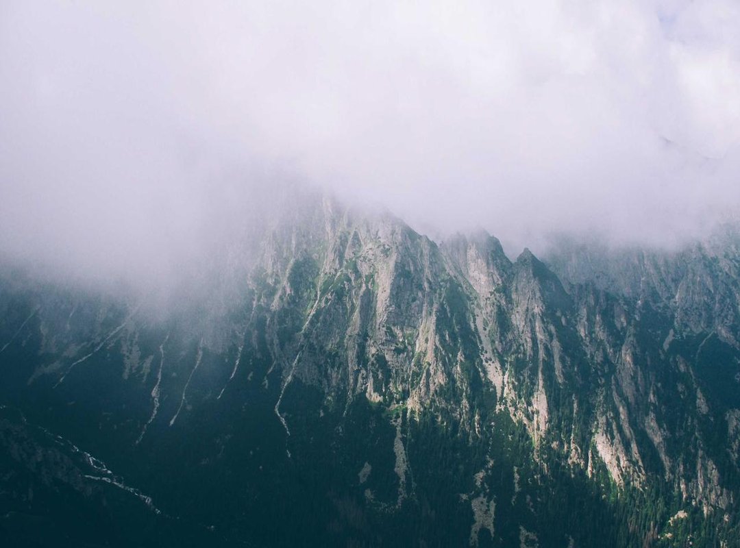 From Social Feed to Search Bar: Why This Trend Exploded