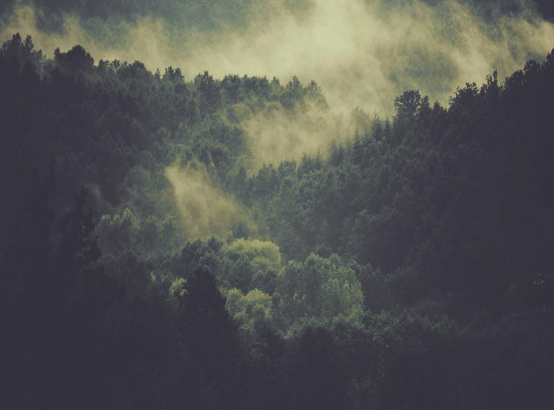 Themes and Motifs: Exploring the Deeper Meanings