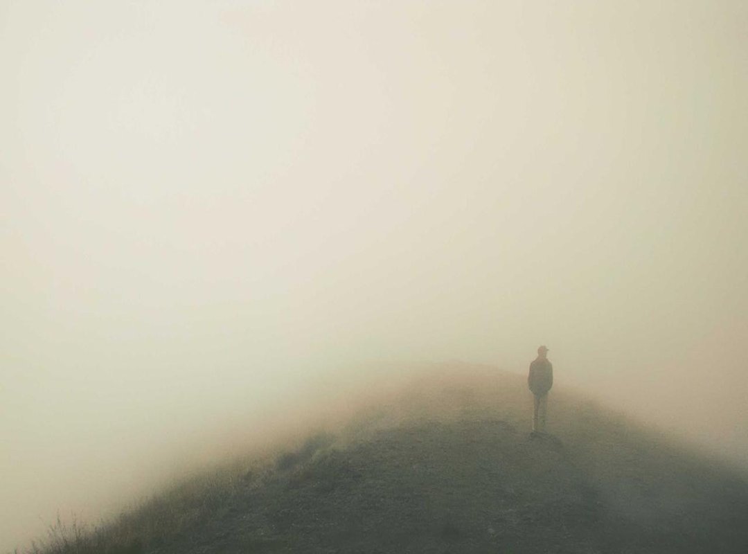 What to Expect: A Breakdown of the Live Gameplay