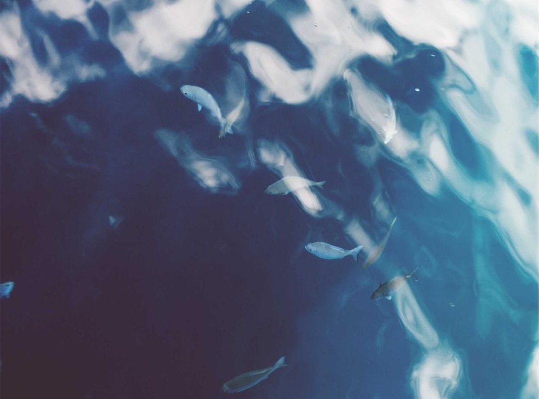 What to Actually Expect: Common Side Effects and Safety