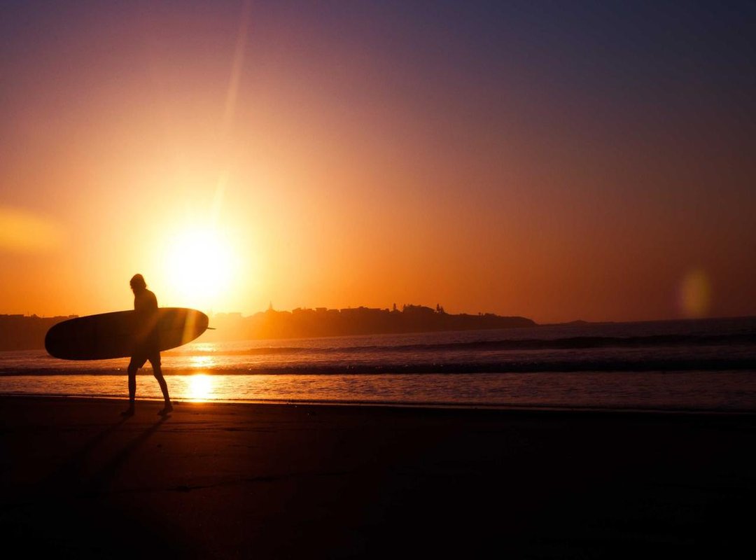 Meet the Stars: The Actors Behind the Characters