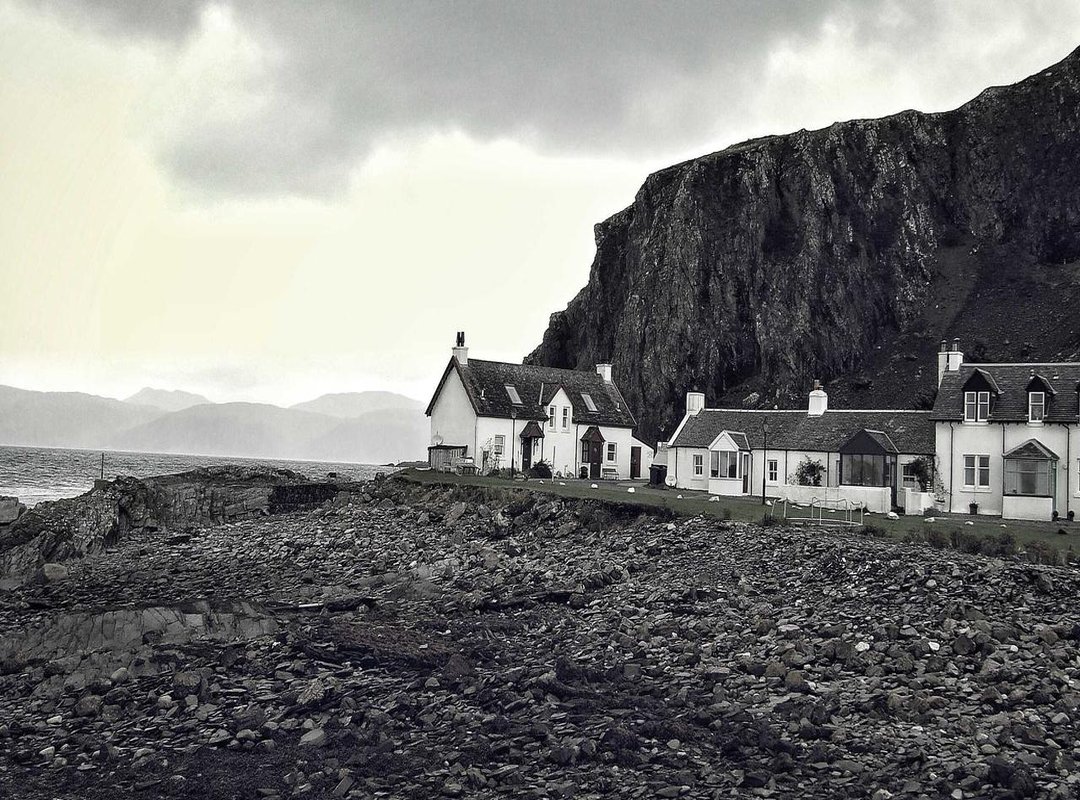 Beyond the Calculator: The Real Secrets of Fruit Value