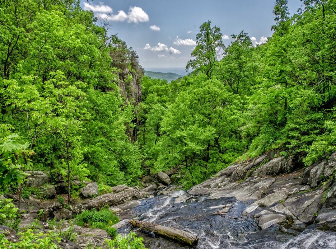 A Complete Walkthrough: From Matrix to Labeled Plot